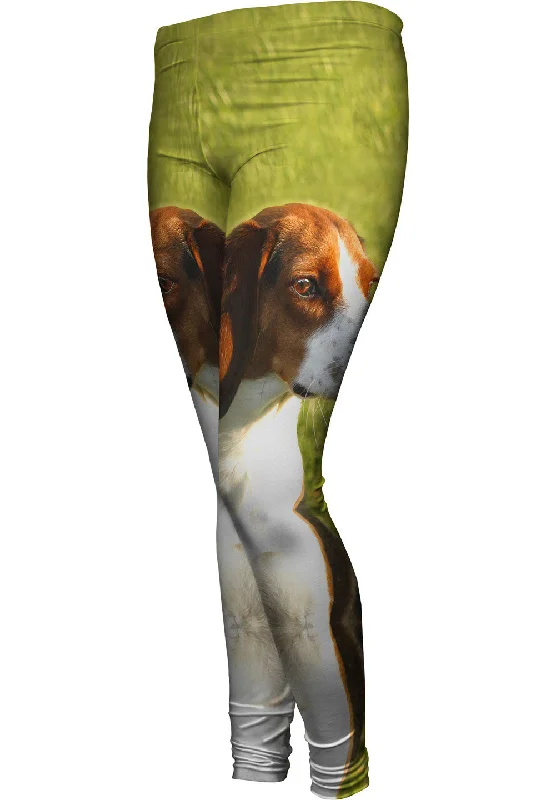 Windbreaker fashion Brown Eared Beagle Regal