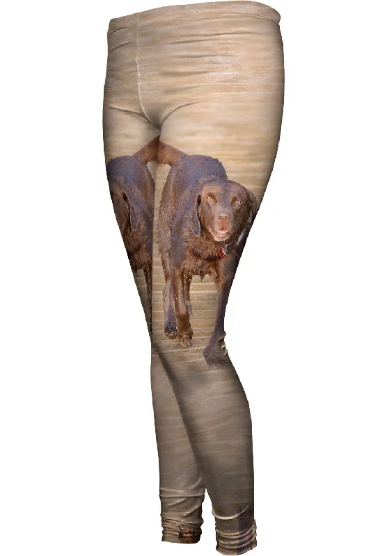 Soft Clothing Chocolate Lab Boardwalk Stroll