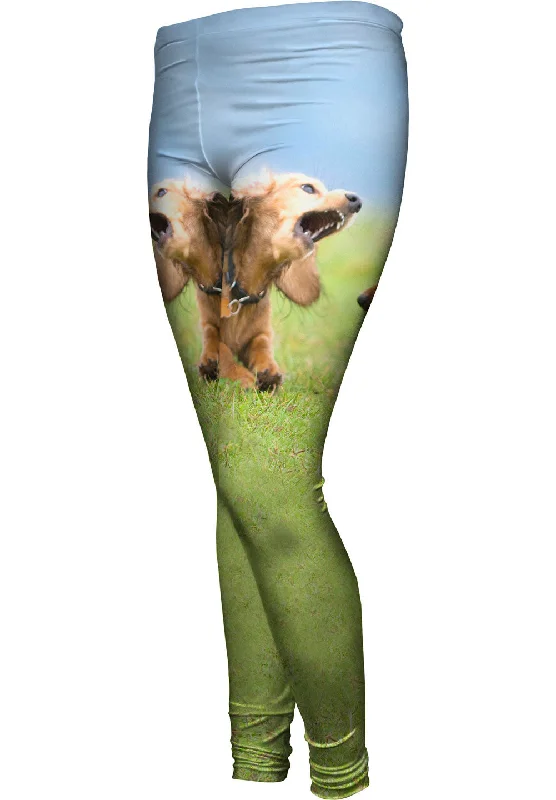 Modern Chic Dachschund Disagreement