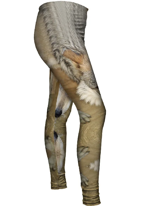 Comfort Fit Deep Stare Wolf