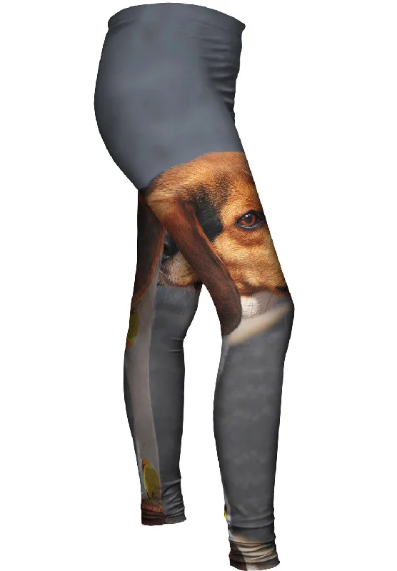 Stylish Fit Dumbo Eares Beagle