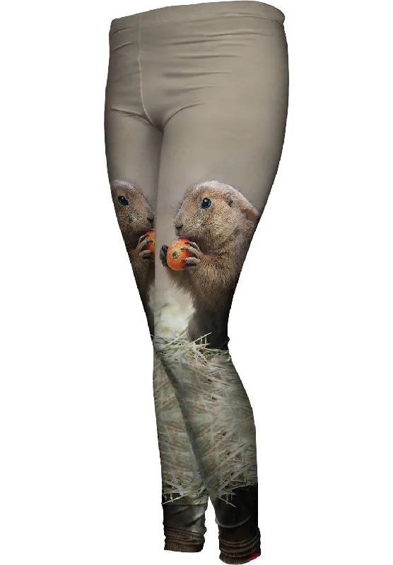 Free And Comfortable Fall Prairie Dogs