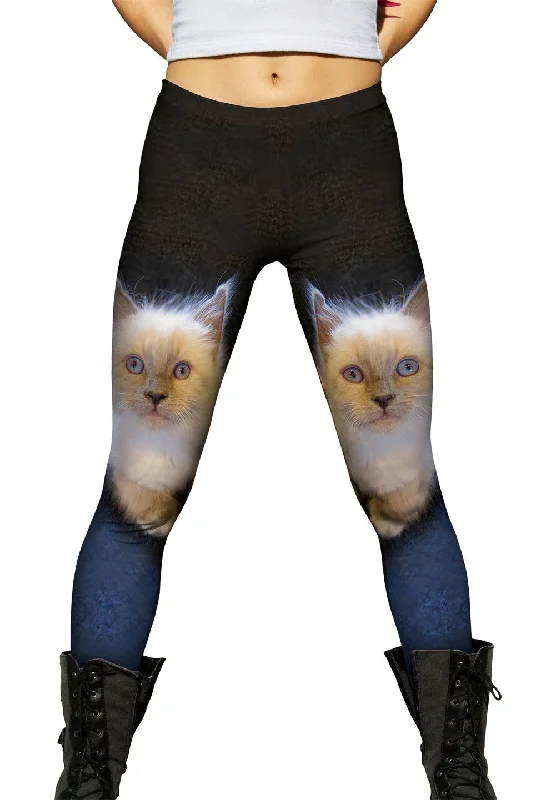 Nightclub Style Fluffy Kitty Cat Stare
