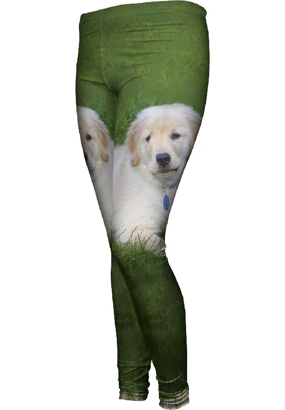 Light Fit Golden Lab Lays About