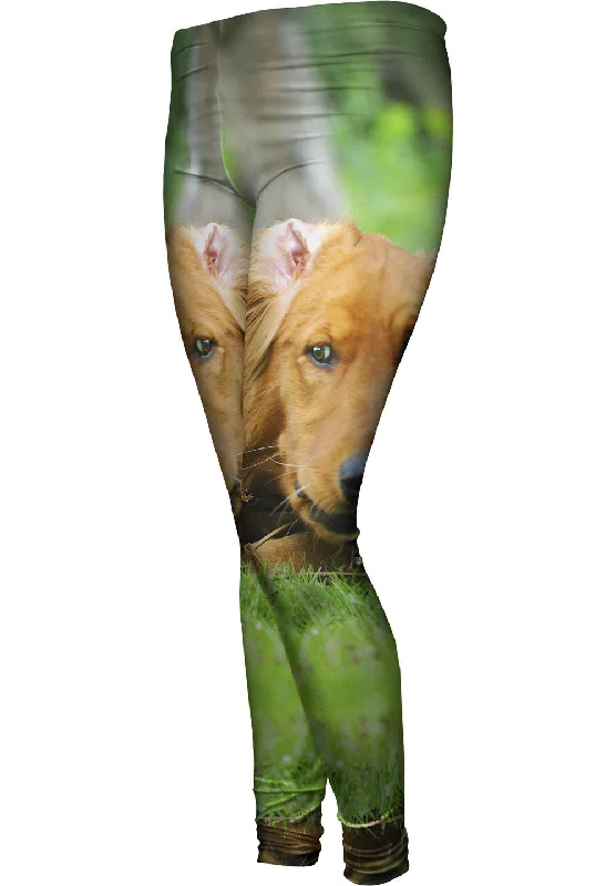 Fashion Wear Golden Lab Lost Bone