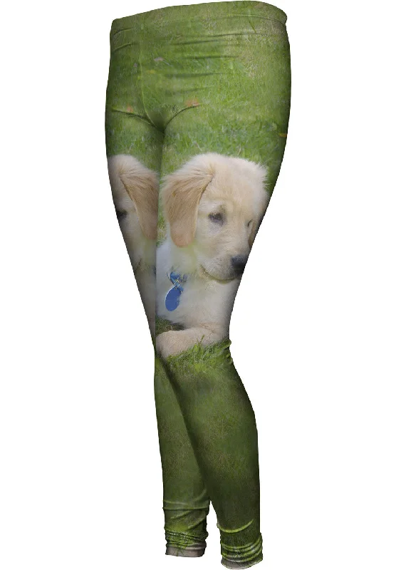 Advanced Customization Golden Lab Puppy Relaxing