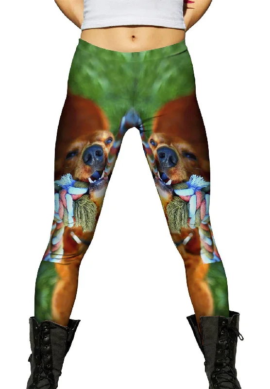 Cozy Lounge Wear Golden Lab Tug O War