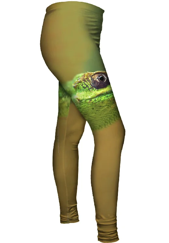 Summer Selection Green Lizard