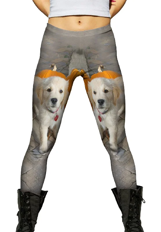 Versatile Outfits Halloween Pumpkin Puppy