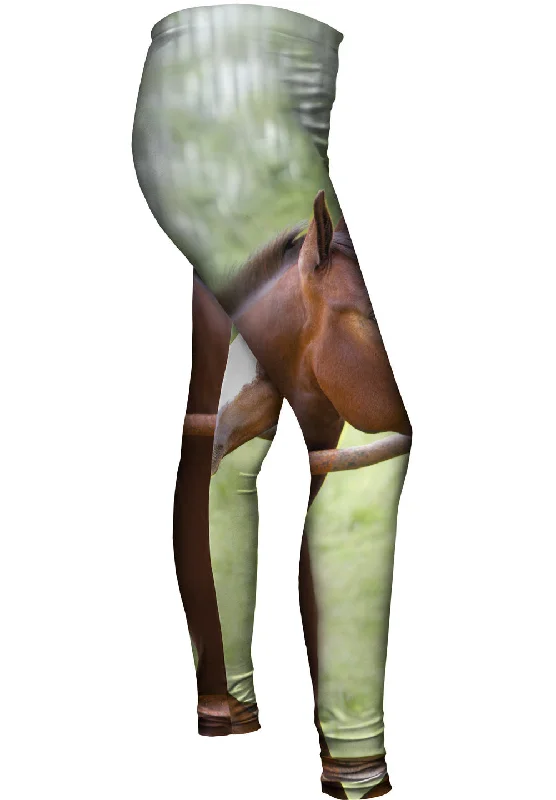 Casual Ease Horse At Rest