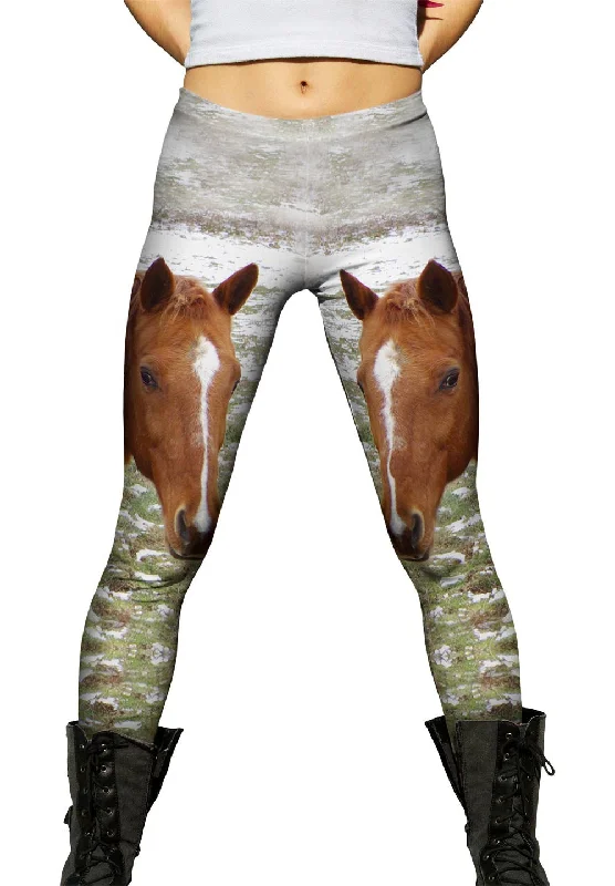 Stylish Casuals Horse Looking Back