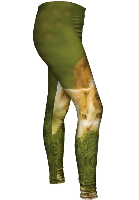Soft Wear Kitten On The Prowl