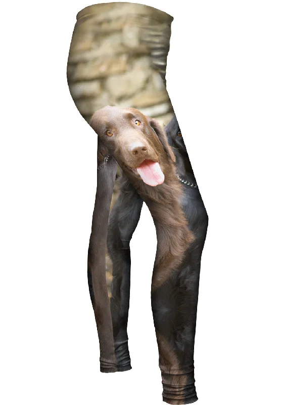 Trends Labrador Friends