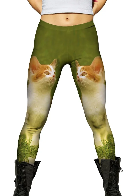 All-Day Comfort Proud Kitty Cat March