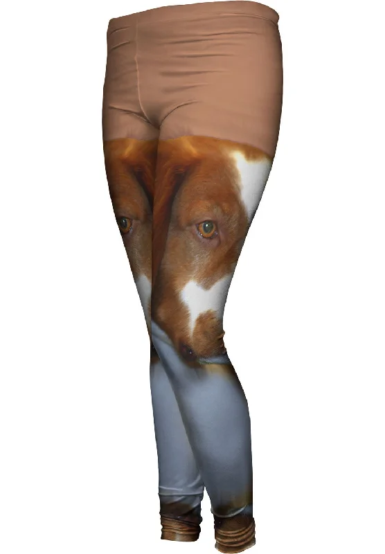 Sports And Leisure Red Spaniel
