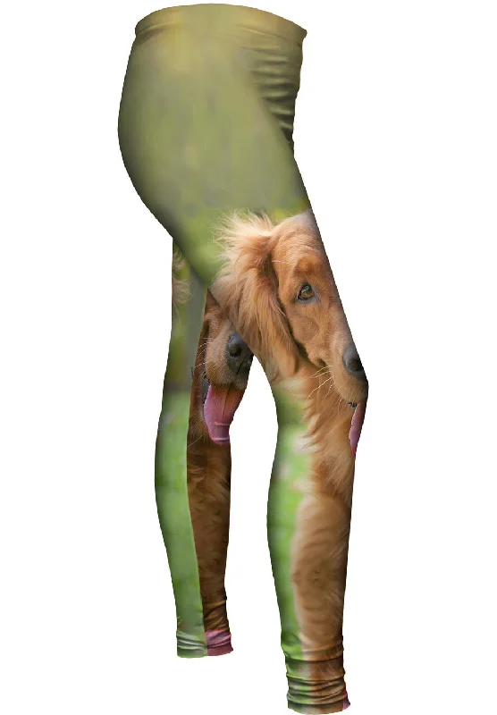 Cozy Dress Shaggy Eared Golden Lab