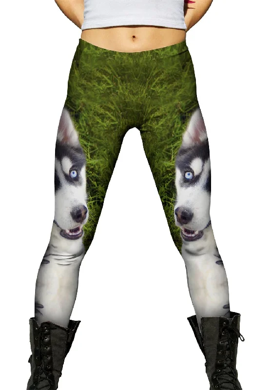Comfortable Jackets Smiling Husky