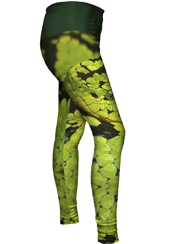 European Plan Snake 001