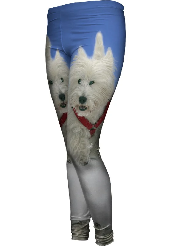 Modern City Super Giant White Terrier