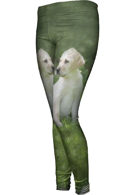 Sports Design Young Golden Lab